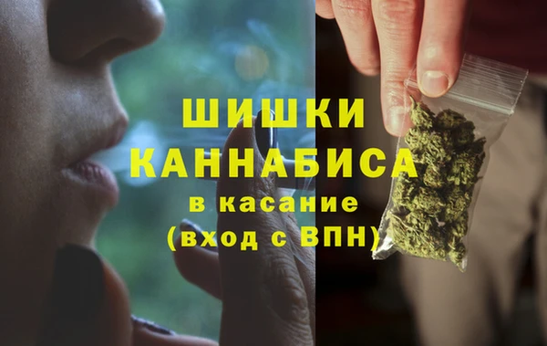 гашик Алзамай